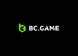 Exploring Payment Options on BC.Game A Comprehensive Guide