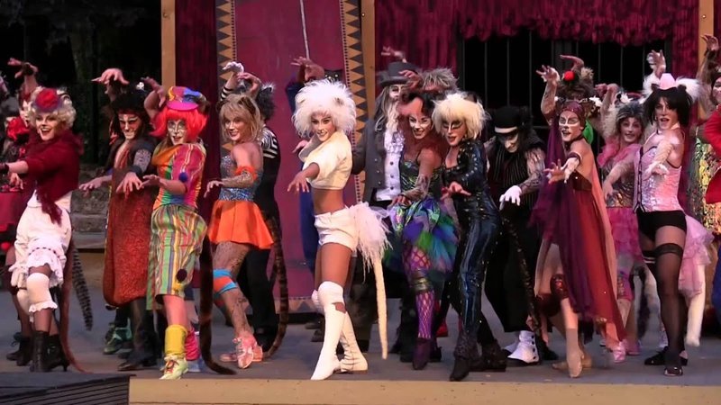 Introduction to catspins Kundenservice