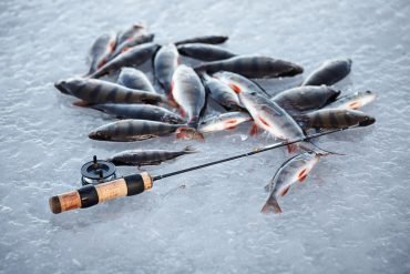 Experience the Thrill of Ice Fishing Live Casino in the UK, ice fishing